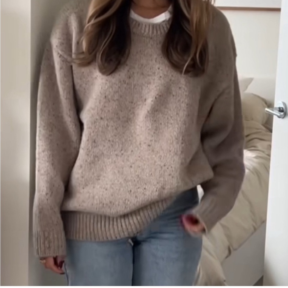 Aritzia Bronco wool Crew Neck Sweater